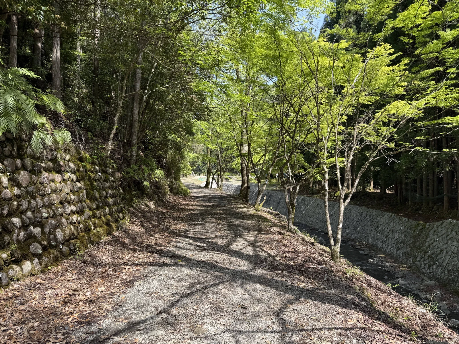 熊野古道中边路纪行
