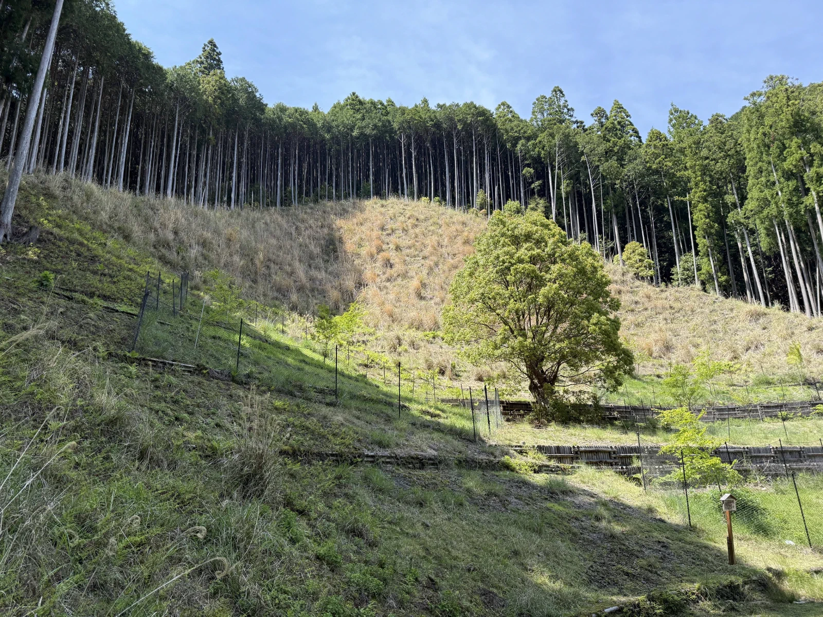熊野古道中边路纪行