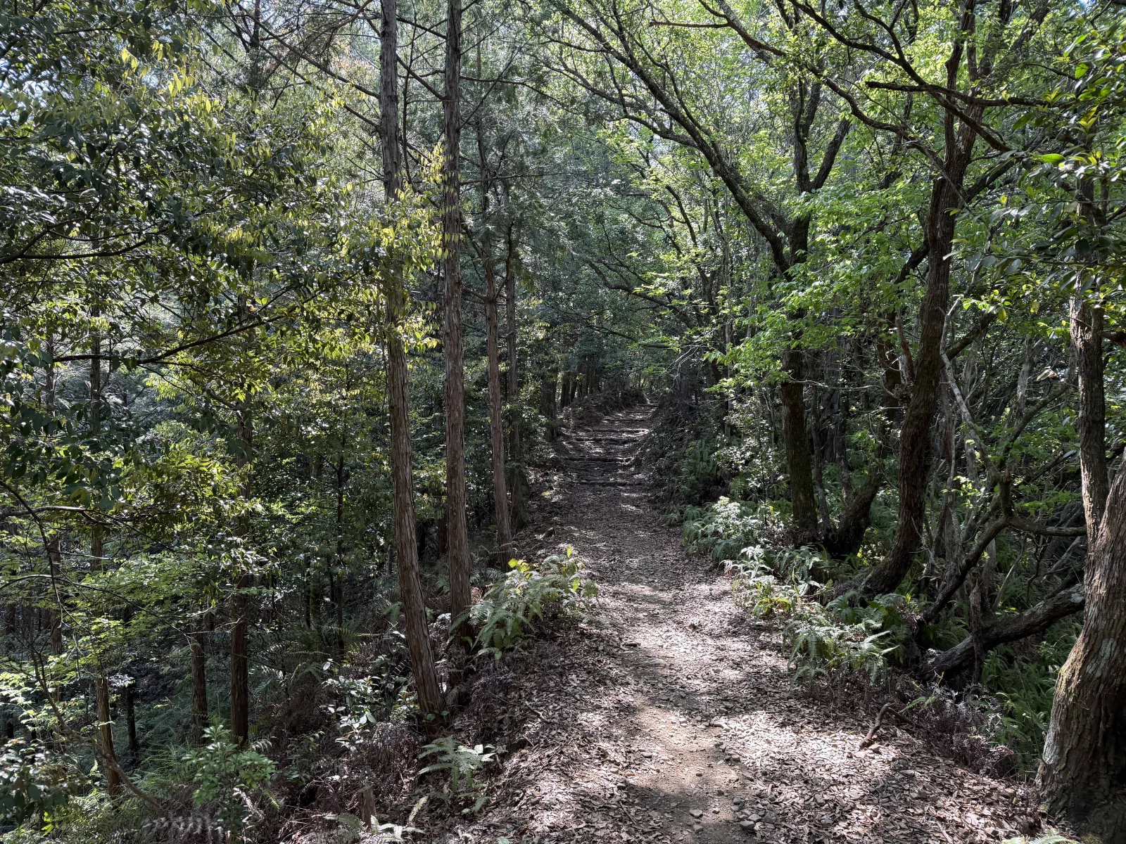熊野古道中边路纪行