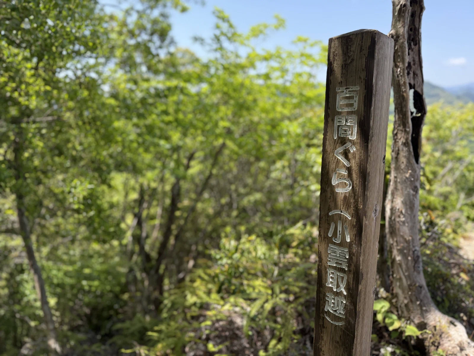 熊野古道中边路纪行