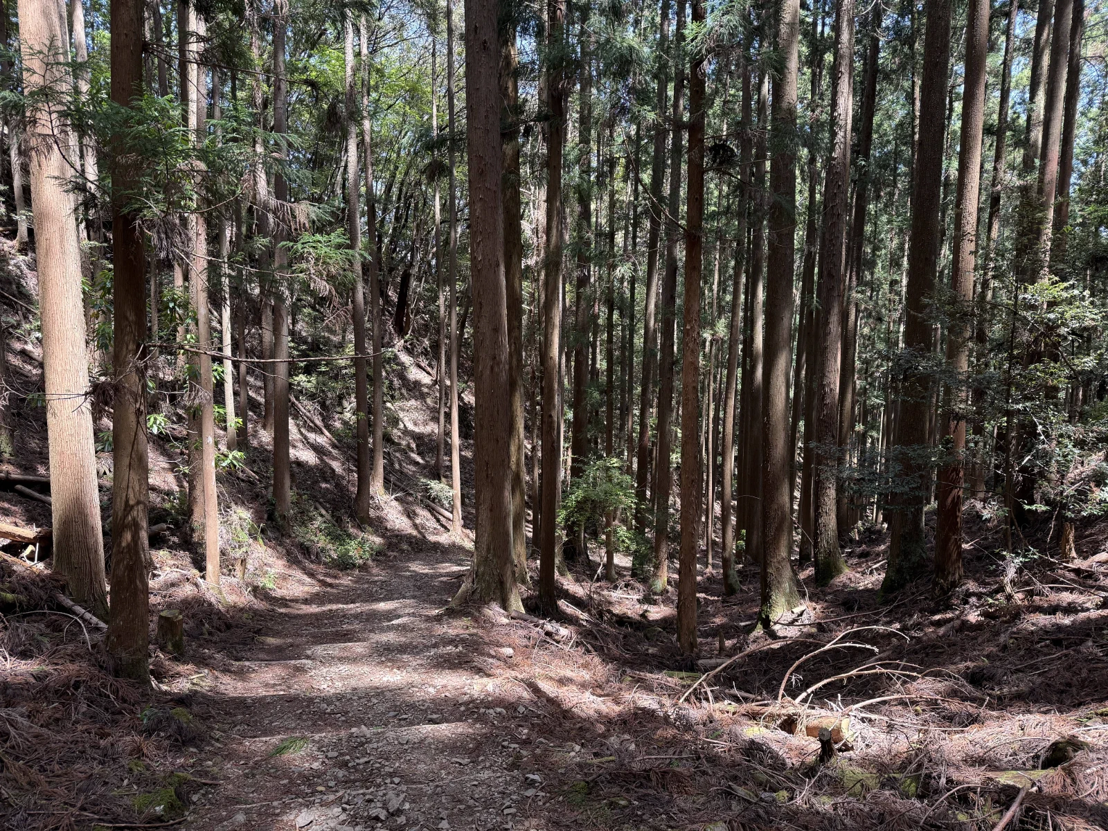 熊野古道中边路纪行