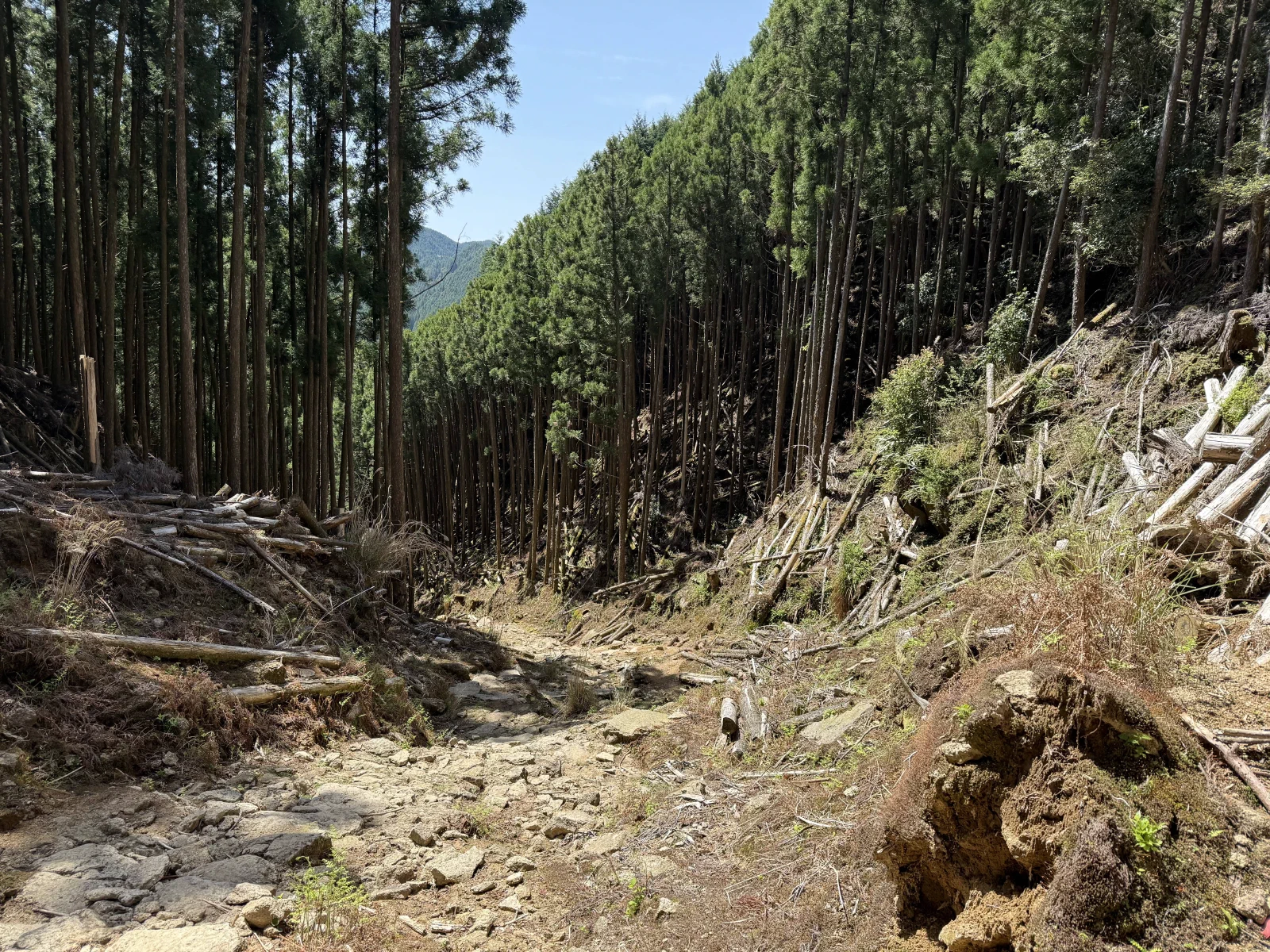 熊野古道中边路纪行