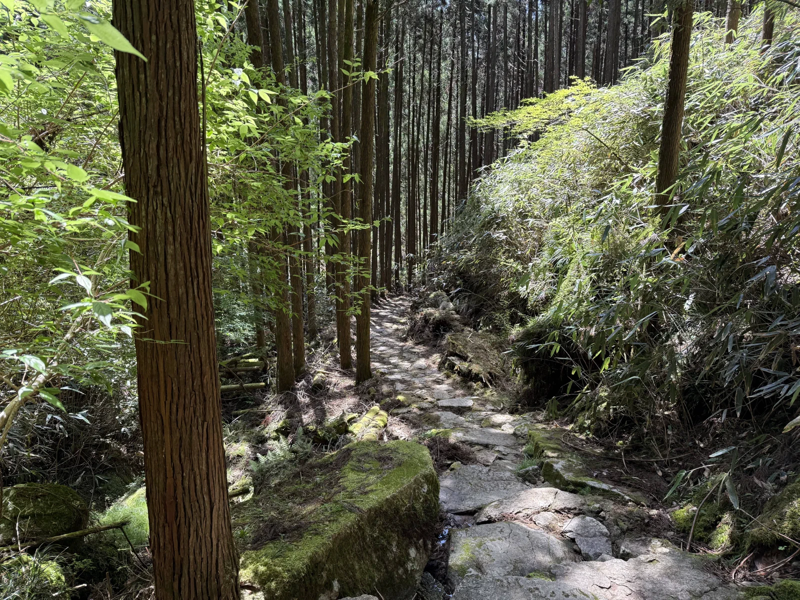 熊野古道中边路纪行
