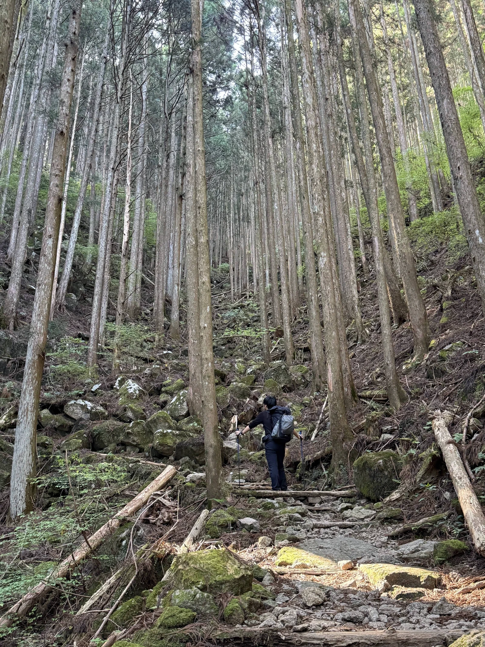 熊野古道中边路纪行