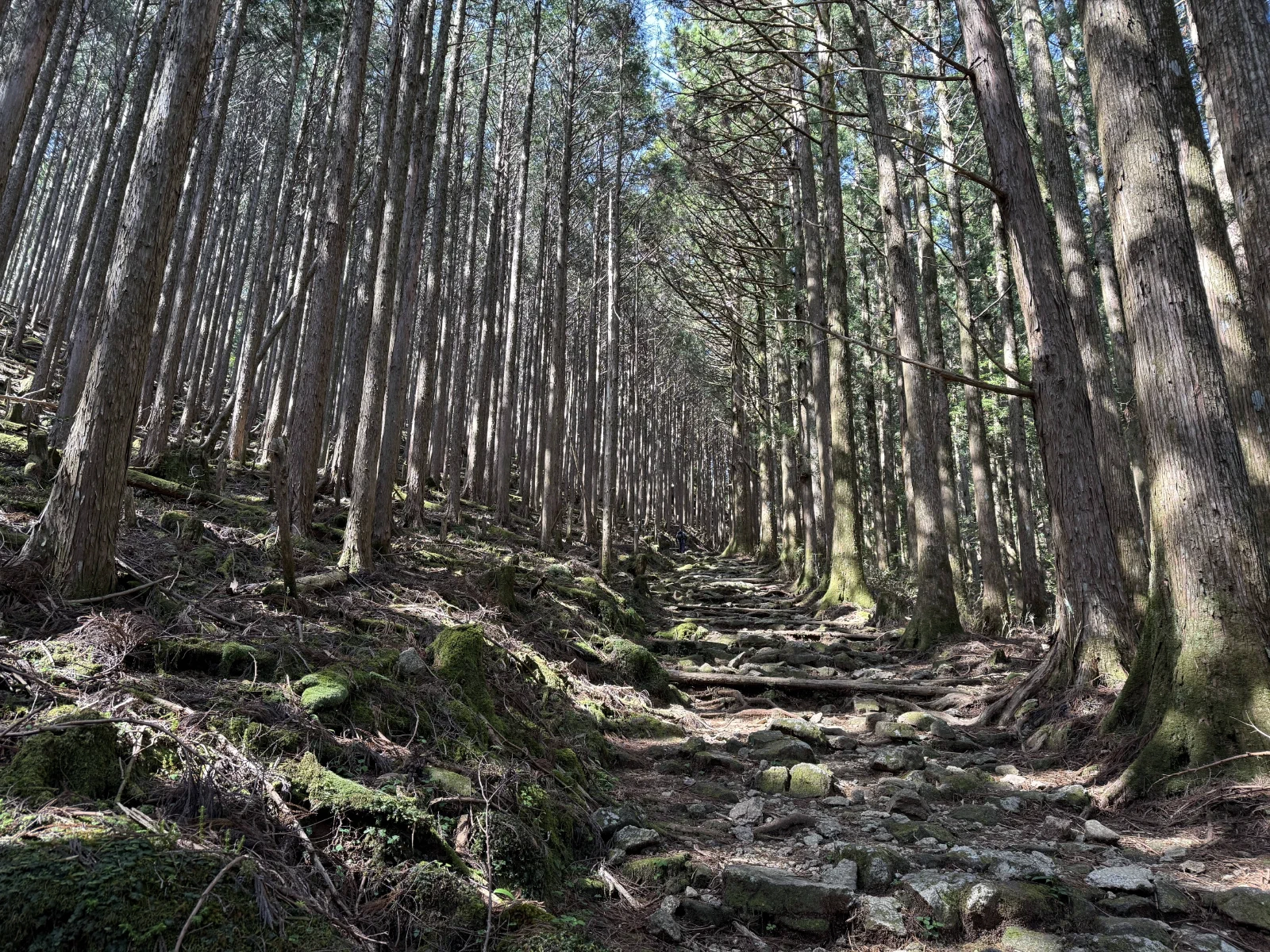 熊野古道中边路纪行