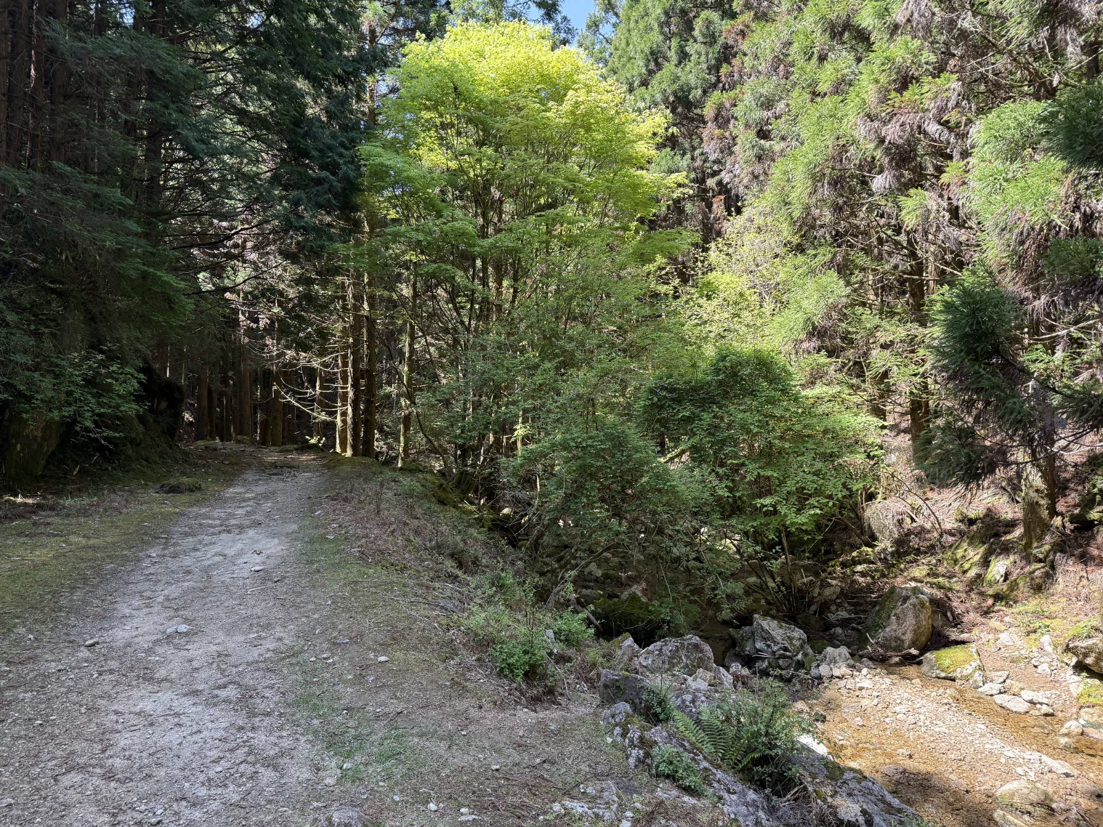 熊野古道中边路纪行