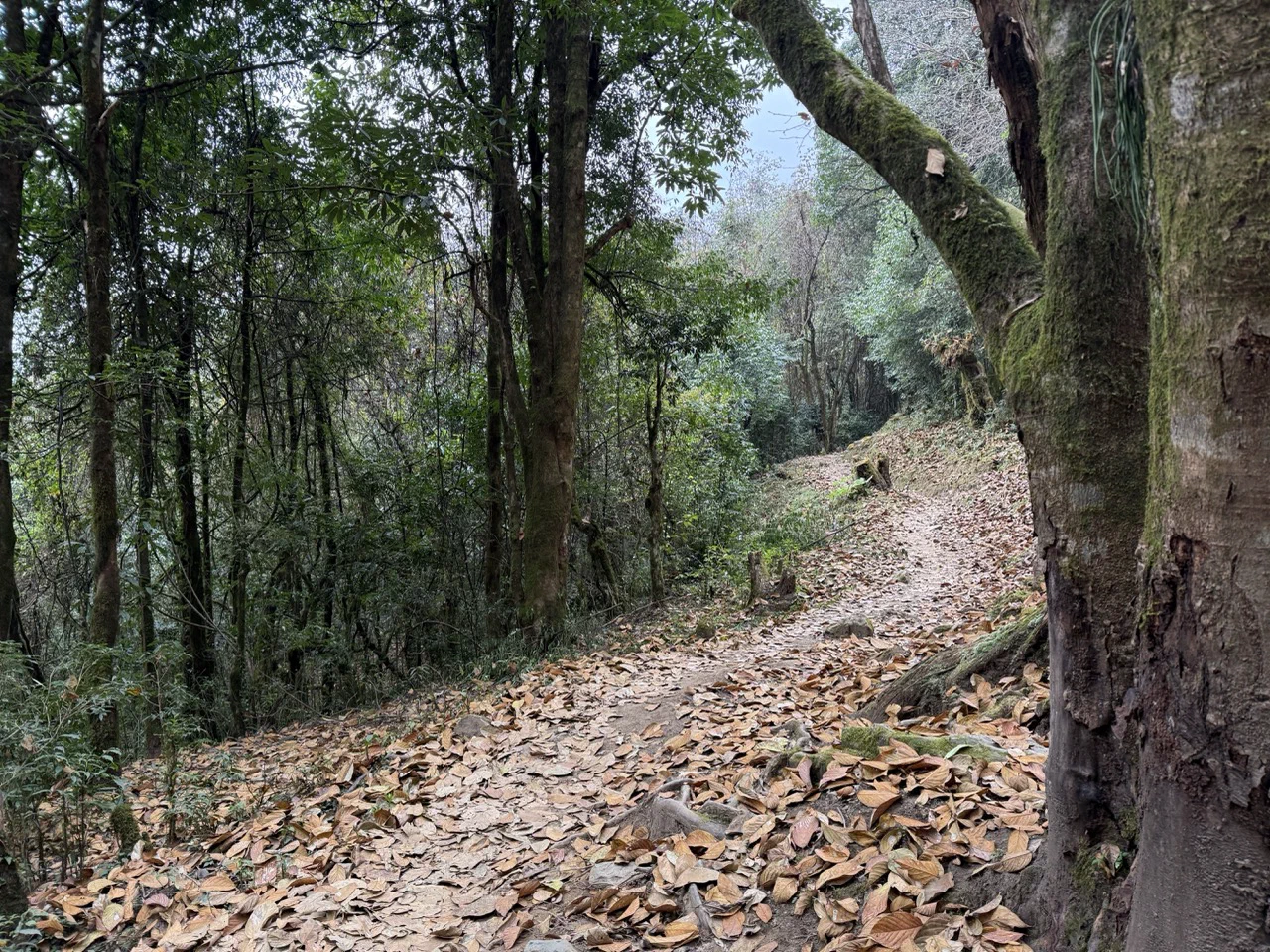 尼泊尔布恩山小环线纪行