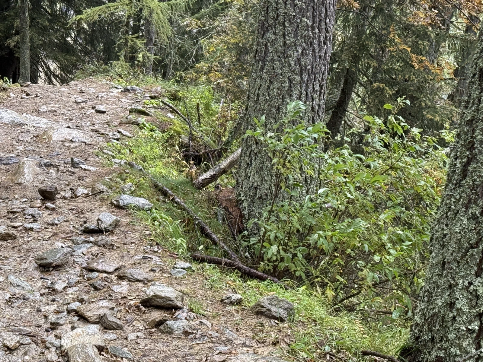 欧游散记 —— 环勃朗峰之旅